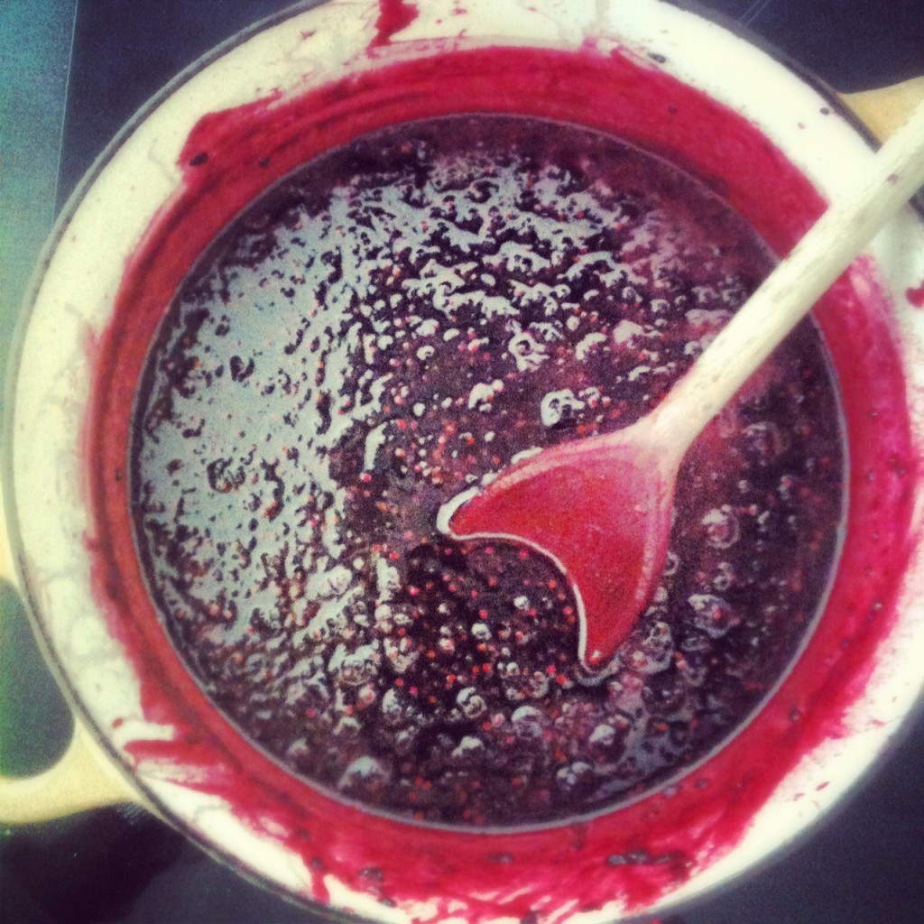 Blackberries simmering on the road to jam